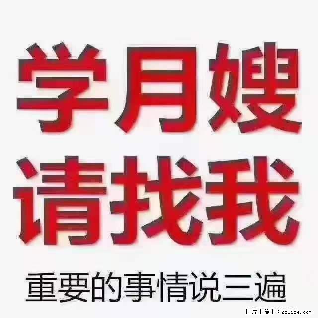 为什么要学习月嫂，育婴师？ - 其他广告 - 广告专区 - 甘孜分类信息 - 甘孜28生活网 ganzi.28life.net