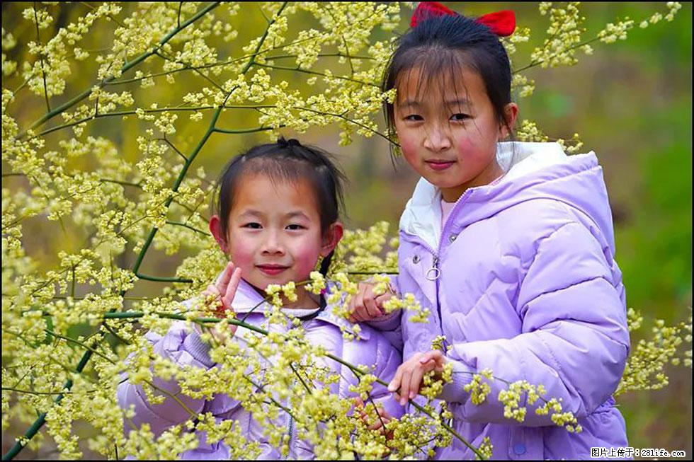 【春天，广西桂林灌阳县向您发出邀请！】米珠山前有片山苍子花在飘香 - 游山玩水 - 甘孜生活社区 - 甘孜28生活网 ganzi.28life.net