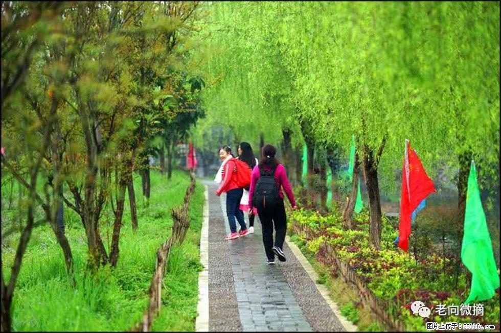 【春天，广西桂林灌阳县向您发出邀请！】江口老街又逢春 - 游山玩水 - 甘孜生活社区 - 甘孜28生活网 ganzi.28life.net