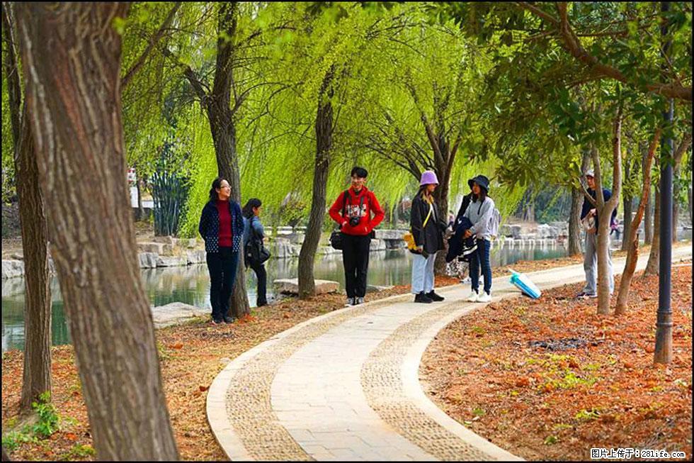 【春天，广西桂林灌阳县向您发出邀请！】江口老街又逢春 - 游山玩水 - 甘孜生活社区 - 甘孜28生活网 ganzi.28life.net