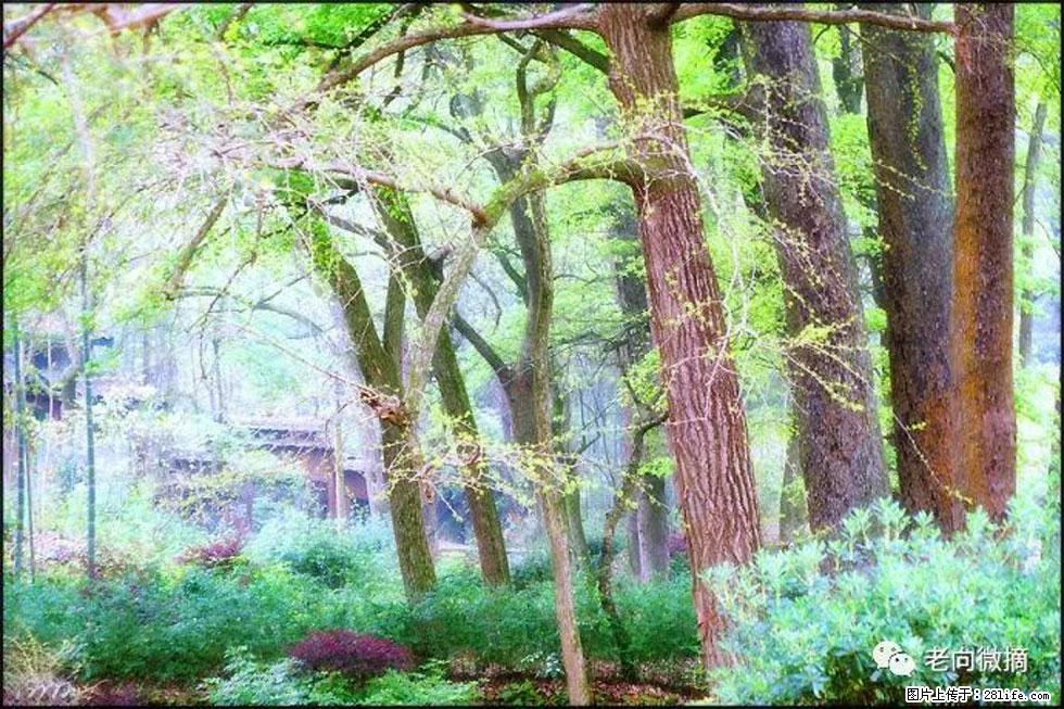 【春天，广西桂林灌阳县向您发出邀请！】在小龙村与春天约会 - 游山玩水 - 甘孜生活社区 - 甘孜28生活网 ganzi.28life.net
