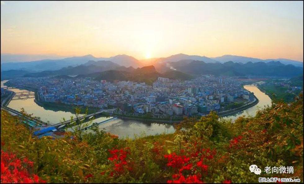 【春天，广西桂林灌阳县向您发出邀请！】登麒麟山，相约映山红 - 游山玩水 - 甘孜生活社区 - 甘孜28生活网 ganzi.28life.net