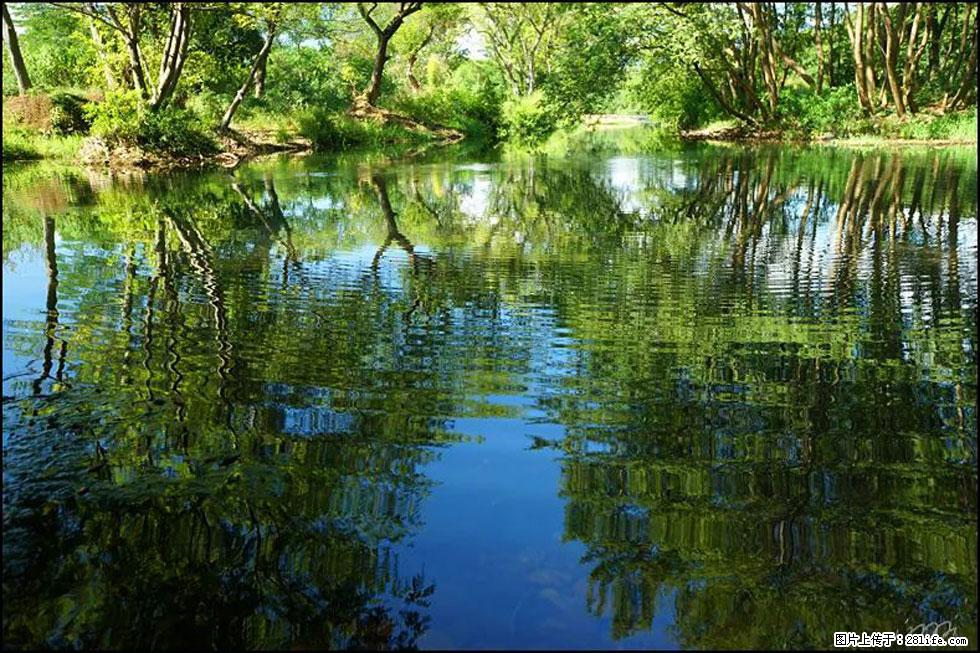 【春天，广西桂林灌阳县向您发出邀请！】熊家寨湿地公园 - 游山玩水 - 甘孜生活社区 - 甘孜28生活网 ganzi.28life.net