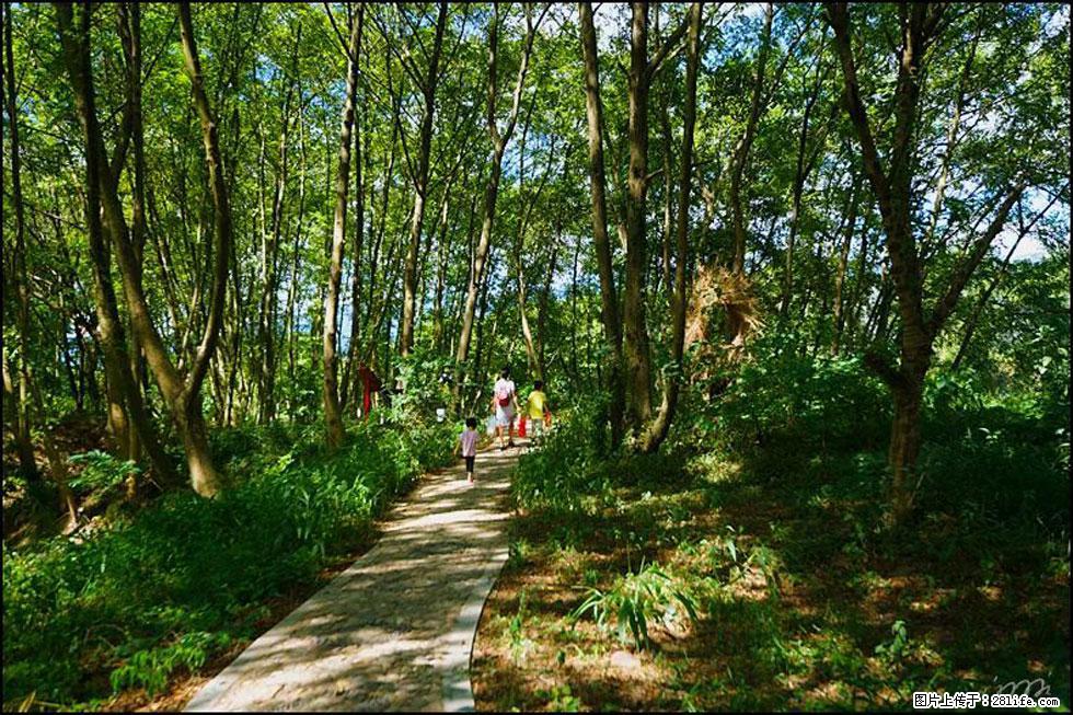【春天，广西桂林灌阳县向您发出邀请！】熊家寨湿地公园 - 游山玩水 - 甘孜生活社区 - 甘孜28生活网 ganzi.28life.net