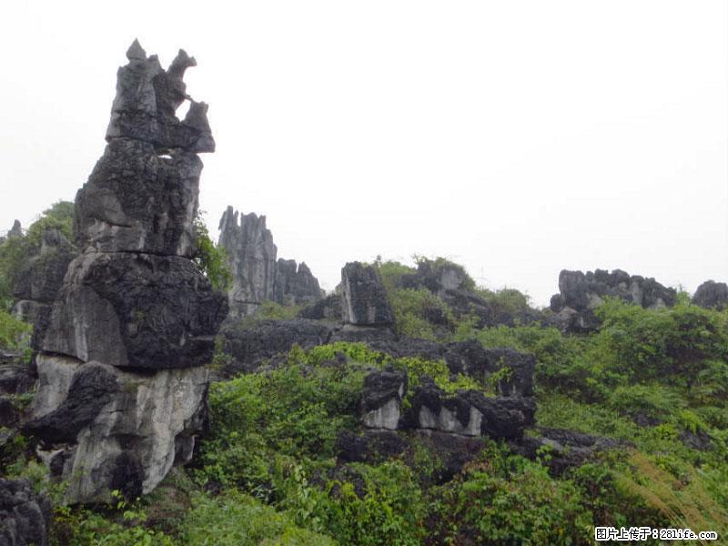桂林旅游名城景点：灌阳文市石林 - 游山玩水 - 甘孜生活社区 - 甘孜28生活网 ganzi.28life.net
