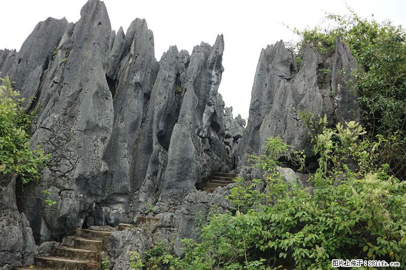 桂林旅游名城景点：灌阳文市石林 - 游山玩水 - 甘孜生活社区 - 甘孜28生活网 ganzi.28life.net