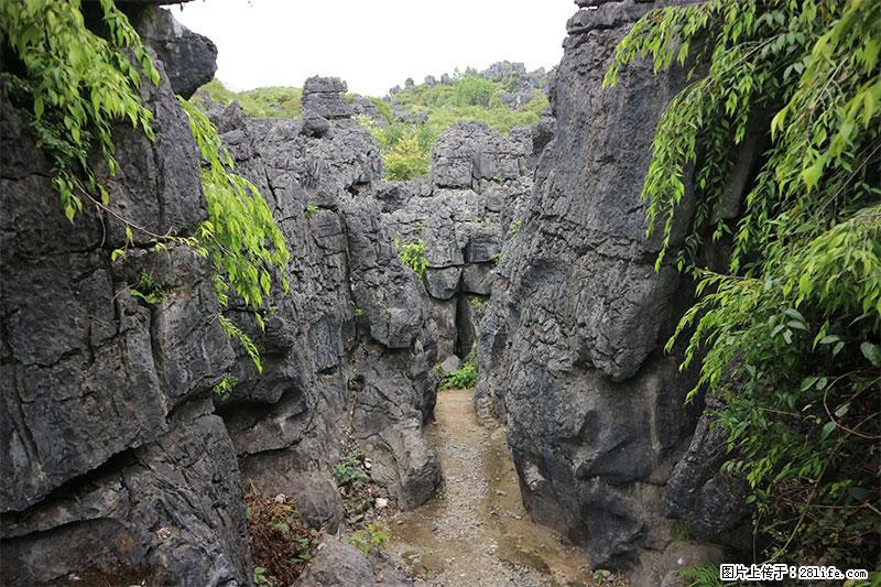 桂林旅游名城景点：灌阳文市石林 - 游山玩水 - 甘孜生活社区 - 甘孜28生活网 ganzi.28life.net