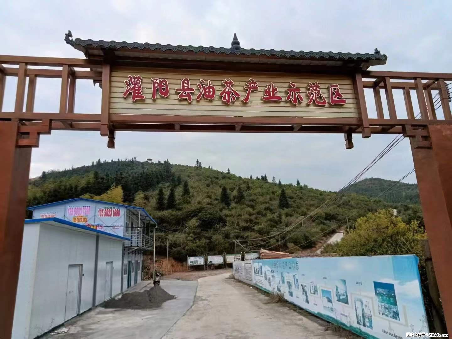 【灌阳县油茶产业示范区】一个有着充实的精神生活的人，对待身外之物自会有一种淡泊的态度 - 土特产 - 饮食特产 - 甘孜分类信息 - 甘孜28生活网 ganzi.28life.net