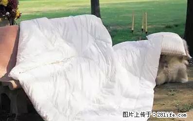 被子有异味？只要这样做，比晒太阳还强100倍！ - 家居生活 - 甘孜生活社区 - 甘孜28生活网 ganzi.28life.net