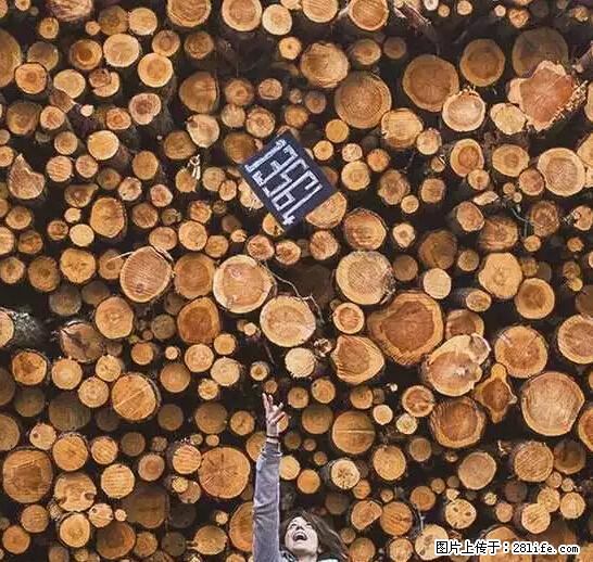 辞掉工作周游世界？现在他们在洗厕所…… - 游山玩水 - 甘孜生活社区 - 甘孜28生活网 ganzi.28life.net