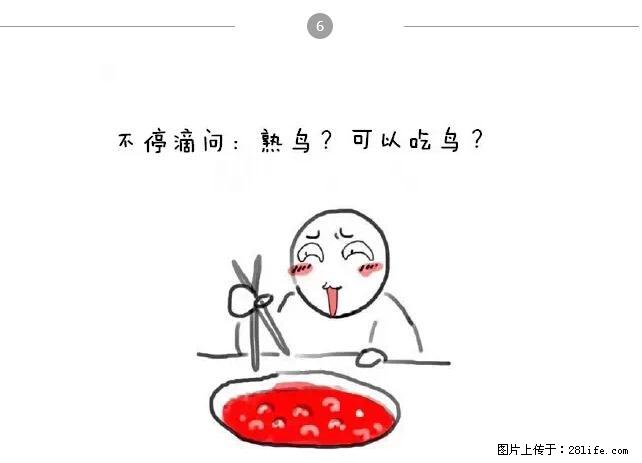 千万不要和这9种哈卵一起吃火锅！ - 美食天地 - 甘孜生活社区 - 甘孜28生活网 ganzi.28life.net
