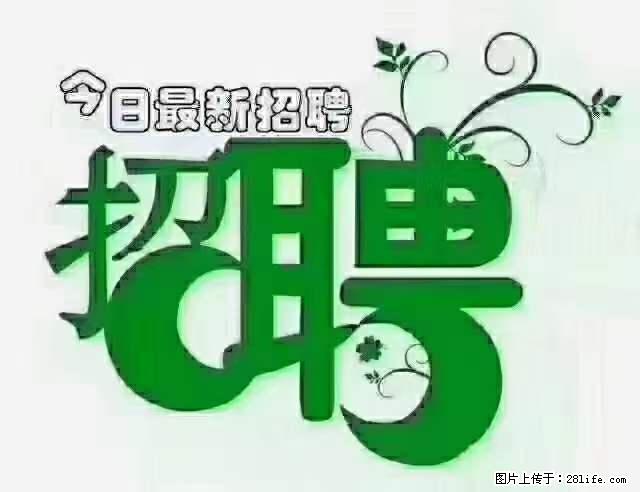 上海青浦区招仓管 - 职场交流 - 甘孜生活社区 - 甘孜28生活网 ganzi.28life.net