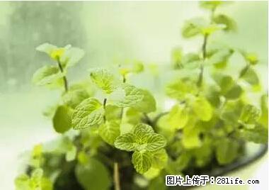 晕车、脚气、牙齿变黄、皮肤粗糙？学会这些三分钟搞定！ - 甘孜生活资讯 - 甘孜28生活网 ganzi.28life.net