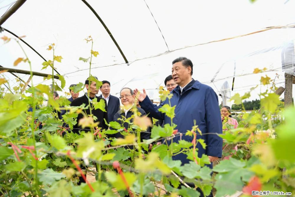 习近平赴广西考察调研 - 甘孜生活资讯 - 甘孜28生活网 ganzi.28life.net