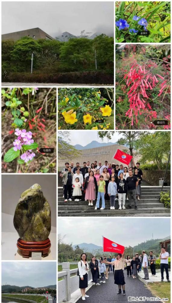 “粤灌文化 美好生活”油茶文化主题活动在广东深圳成功举办 - 甘孜生活资讯 - 甘孜28生活网 ganzi.28life.net