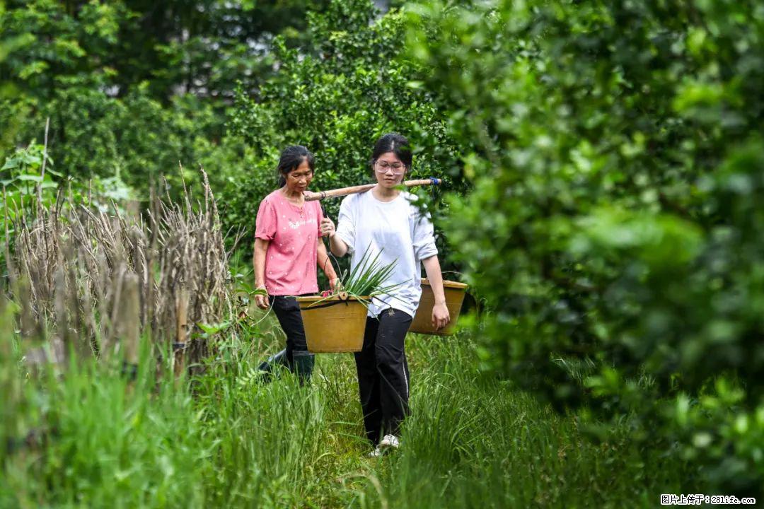 全网追的“扁担女孩”，找了一份暑假工，时薪12元 - 甘孜生活资讯 - 甘孜28生活网 ganzi.28life.net