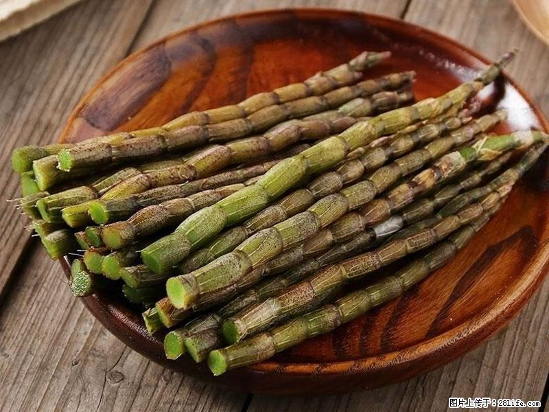 铁皮石斛的作用与功能主治 - 甘孜生活资讯 - 甘孜28生活网 ganzi.28life.net